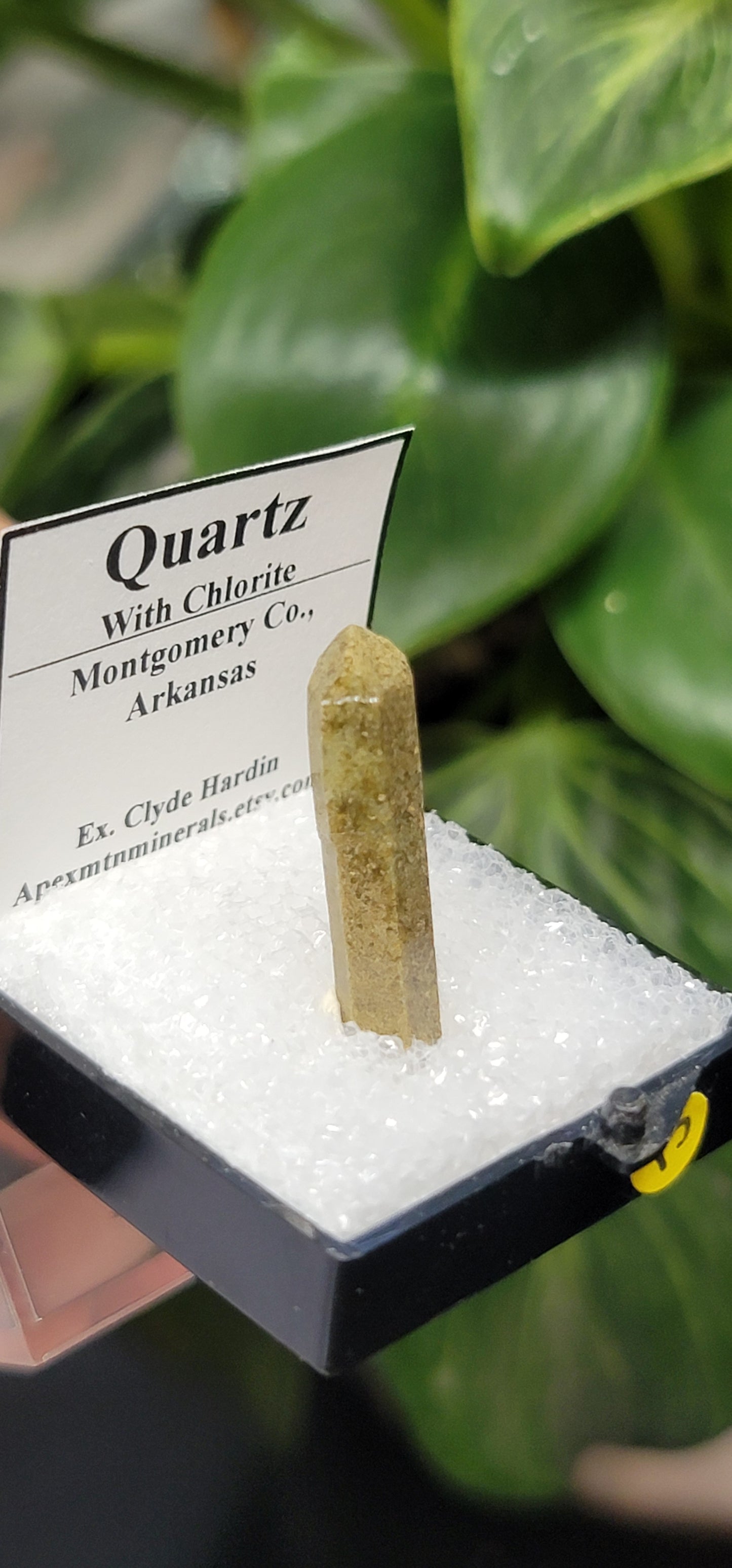 Quartz Included with Chlorite