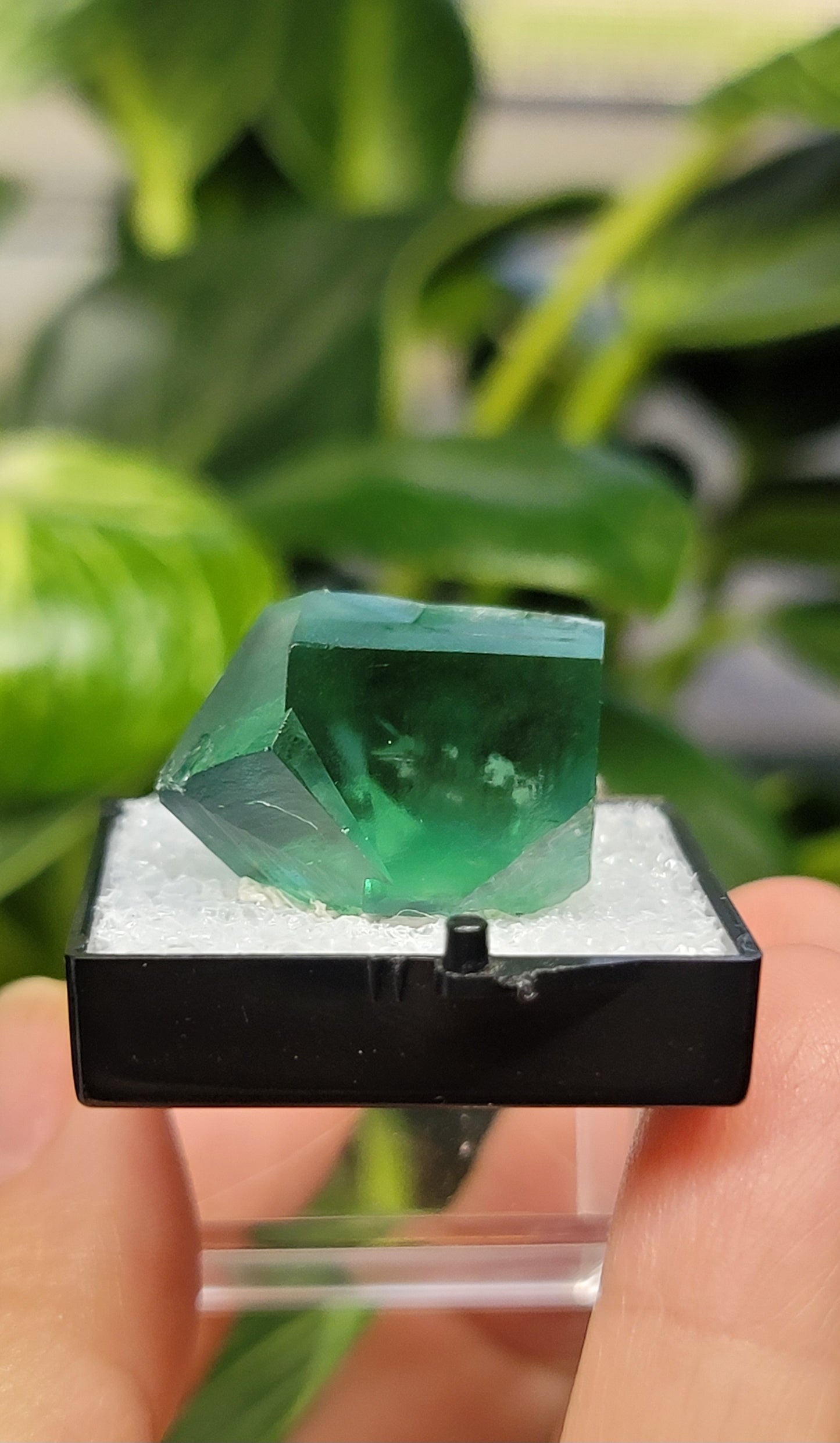 Fluorite Twins