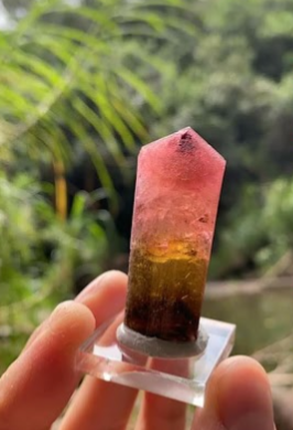 Multicolored Tourmaline